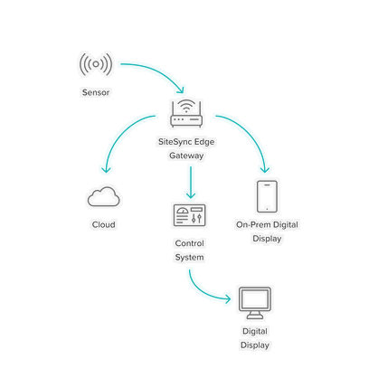 Package Options